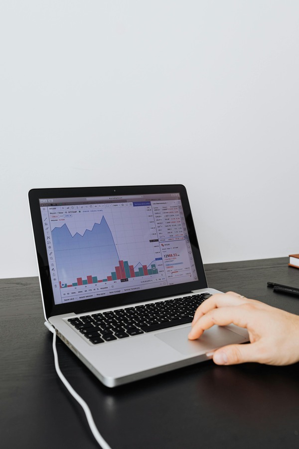 Person working on a laptop with charts