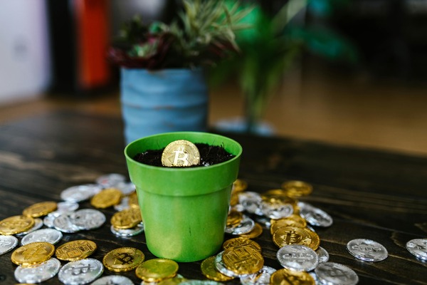 Plant pot with a coin among scattered crypto coins